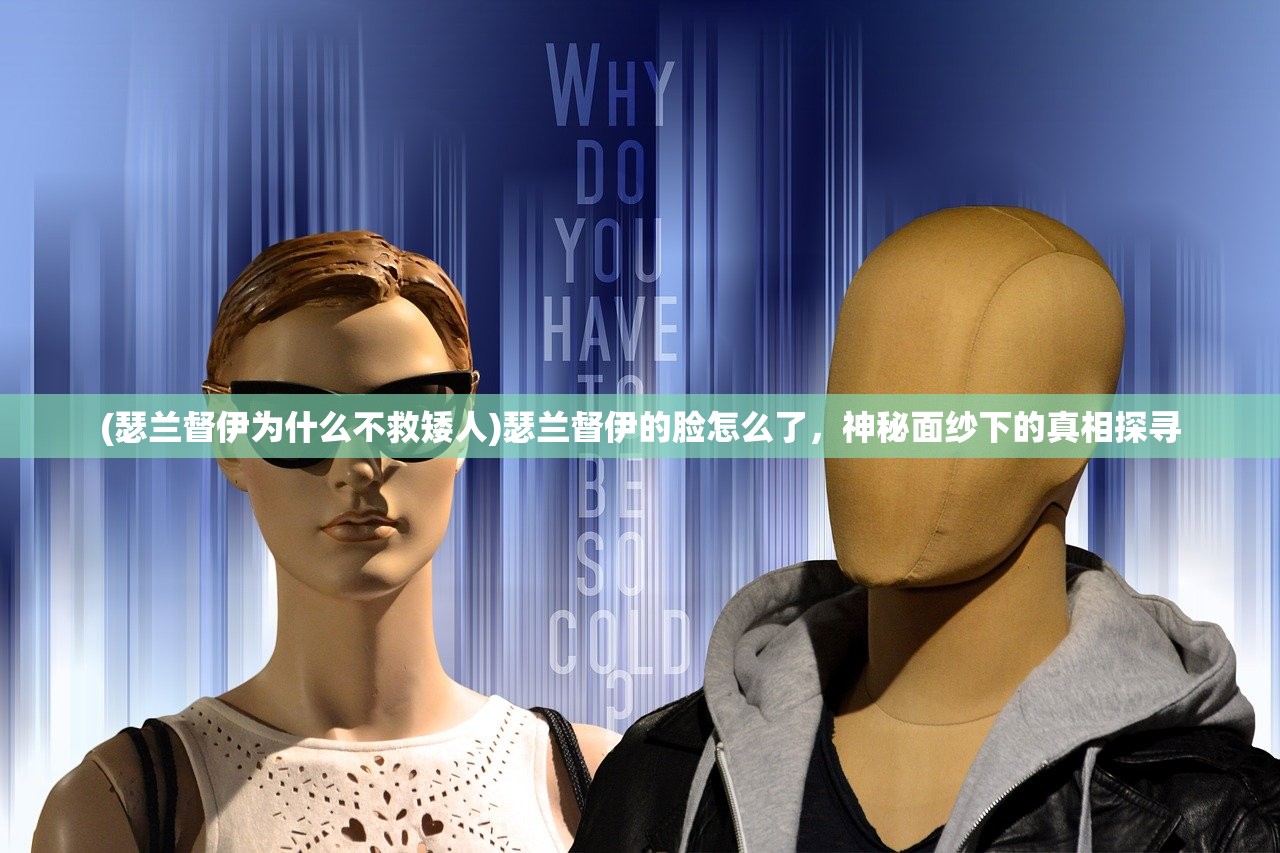 (废柴物语鸟人大叔第二关)废柴物语鸟人大叔攻略手册，游戏指南与常见问题解答