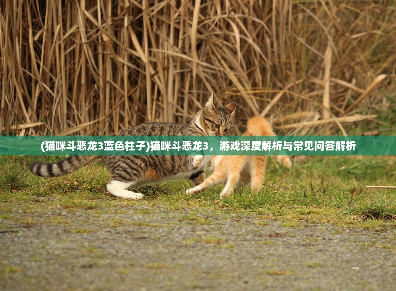 (魔塔50层攻略第39层飞行)魔塔50层攻略第39层详解及常见问题解答