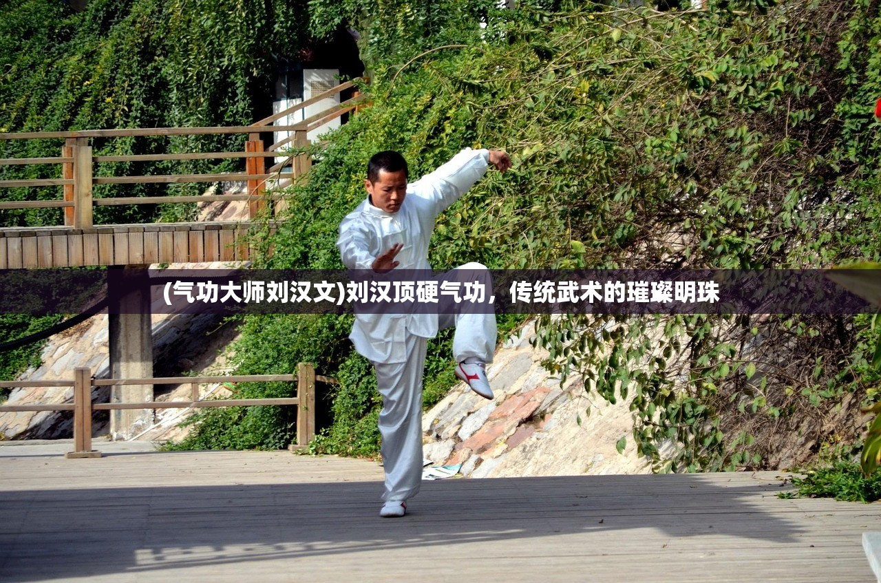 (王者战歌的含义)王者战歌的情感表达，深入解析其内在情感与主题