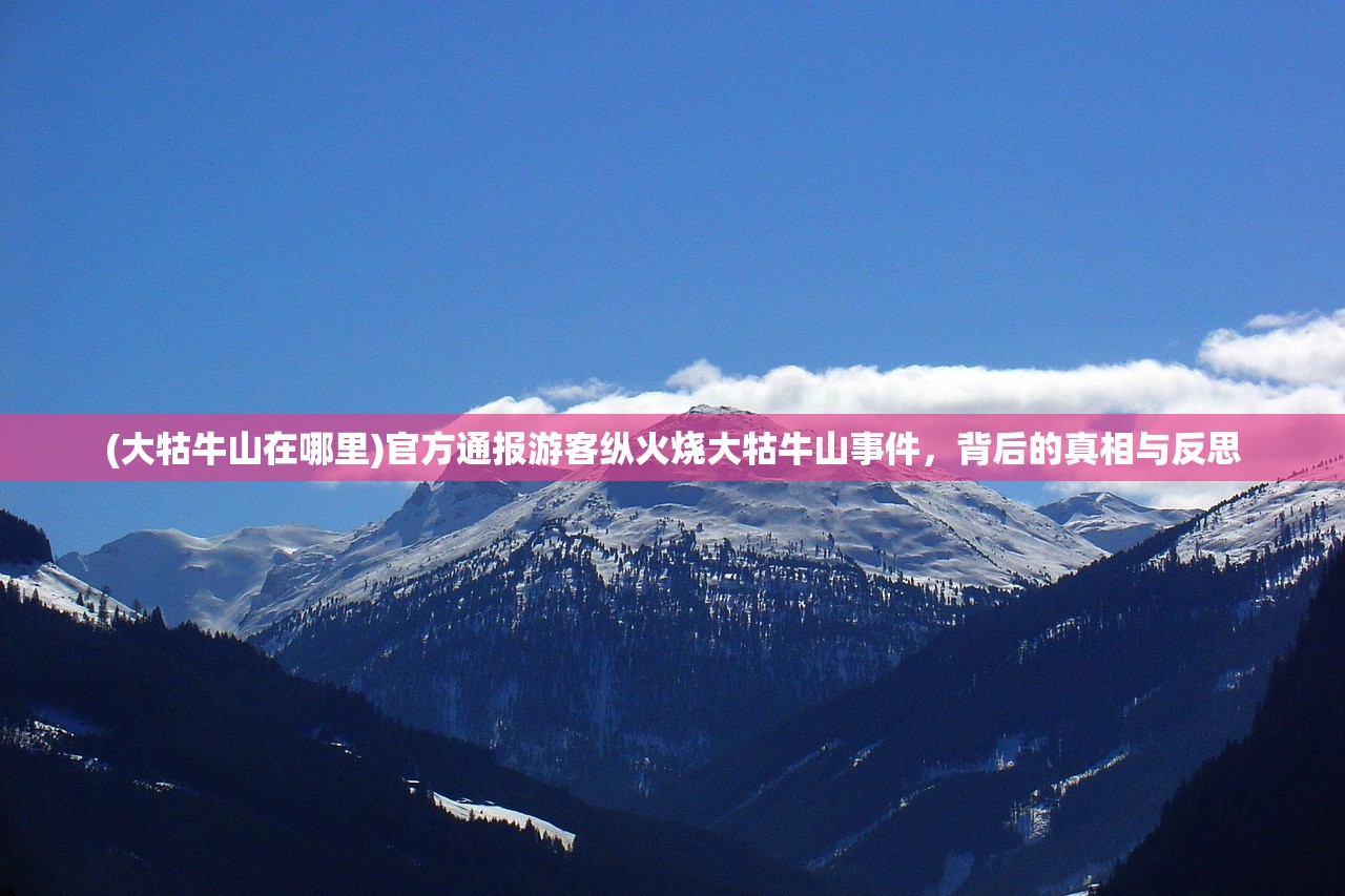 (字体大全免费使用软件)免费字体宝库，探索多款优质字体软件