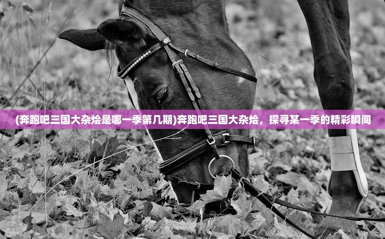 (魂之刃巨龙城堡哪个角色好)魂之刃巨龙城堡，探寻最强武器之谜