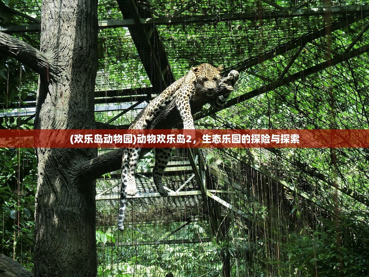 (蓝月争霸正版手游)蓝月争霸手游电脑版，跨界体验的新篇章