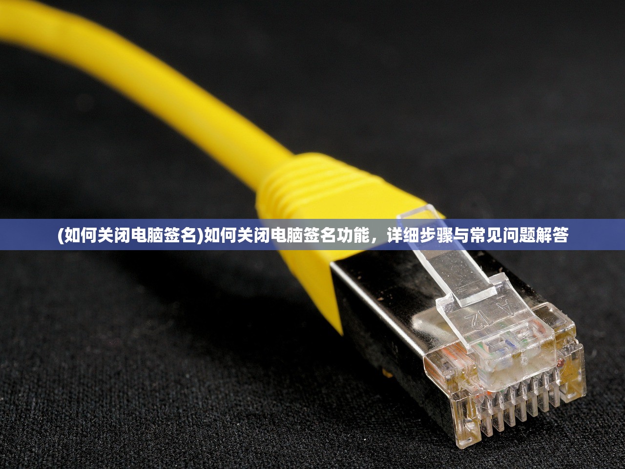 (剑道部 全收集)剑道部碎片，探索与解析