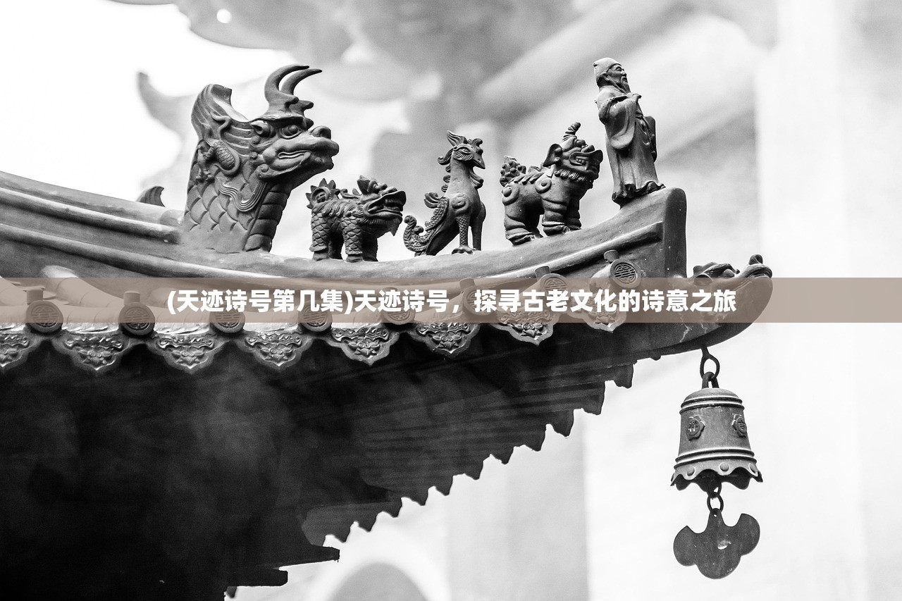 (笔记本电脑怎么播放dvd光盘)电脑DVD播放器使用指南，如何轻松打开并播放DVD
