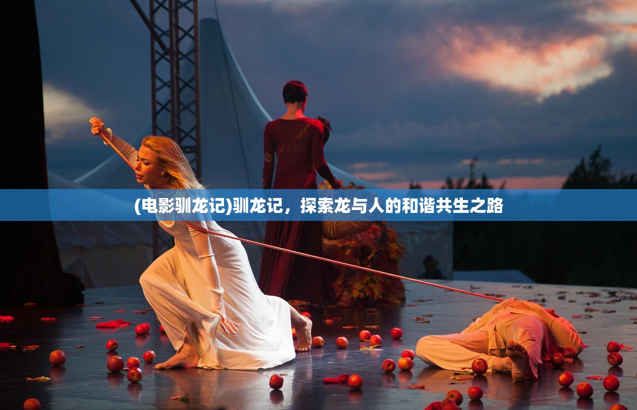 (境界残响bgm)境界残响立绘，探索深度与艺术的交融
