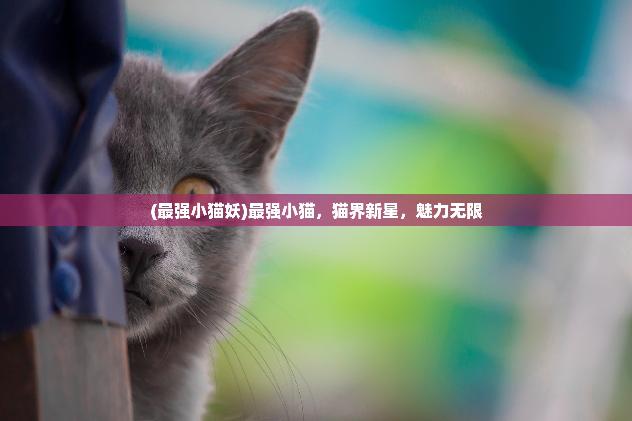 (出发 领主大人)出发领主大人下架背后的原因与影响
