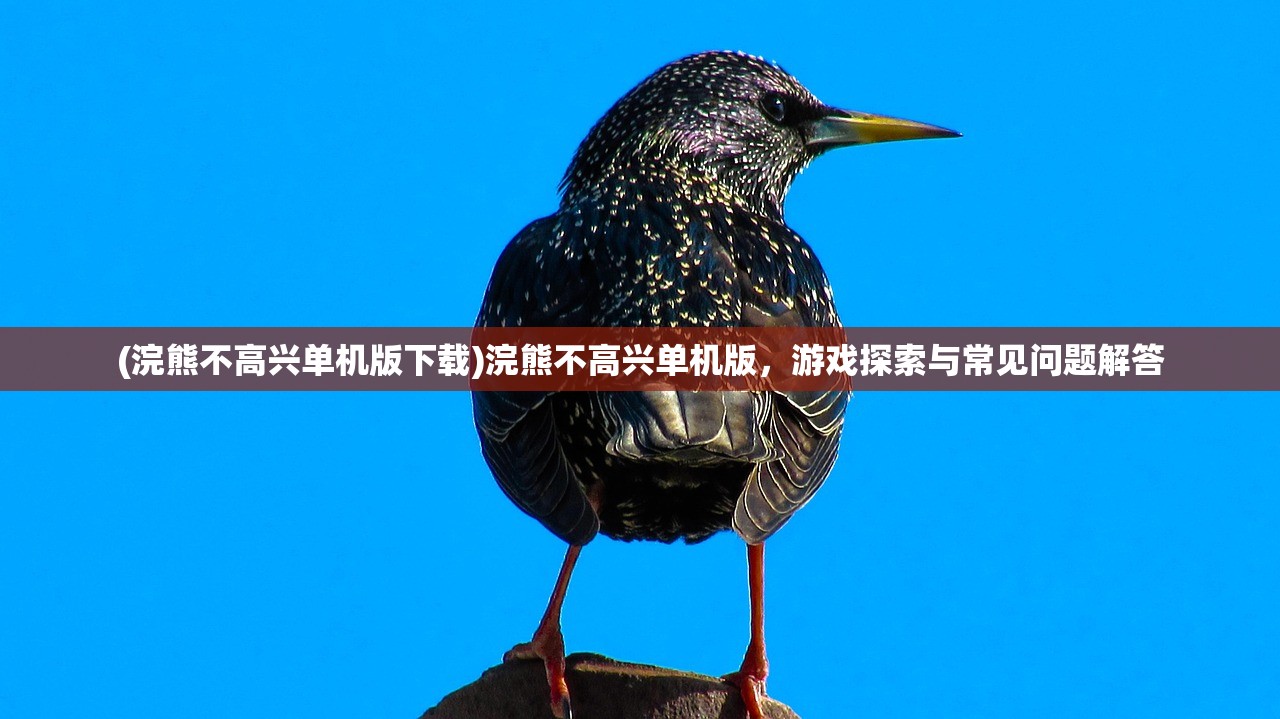 (璀璨合成同类型游戏有哪些)璀璨合成之旅，探索同类型游戏的魅力与独特之处