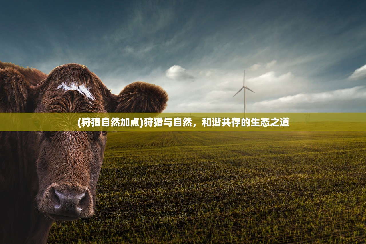 (征途三国版攻略)三国版征途折扣，深度解析与常见问题解答
