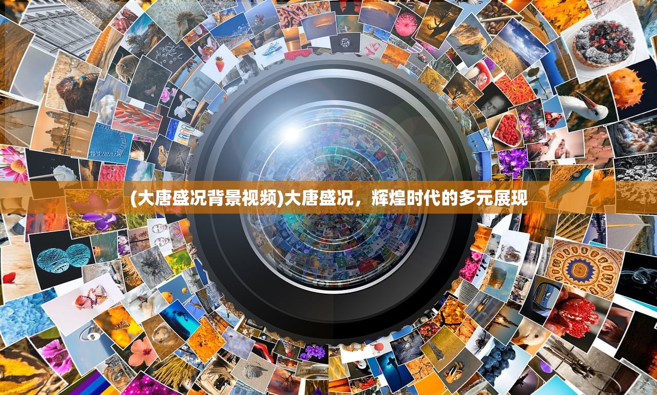 (内购版山海经)口袋山海经免广告版，深度体验与探索