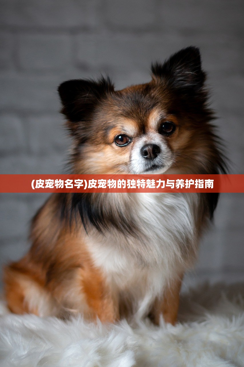 (王者守卫者下载)荣耀守卫者为何下架，深度探究原因与解析