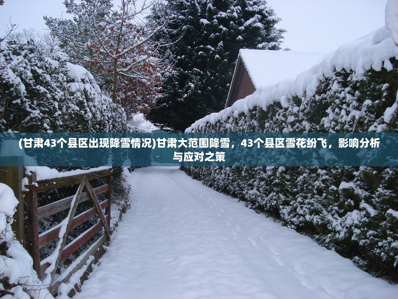 (三国战纪风云再起单人拿四剑)三国战纪风云再起，历史与游戏的交织