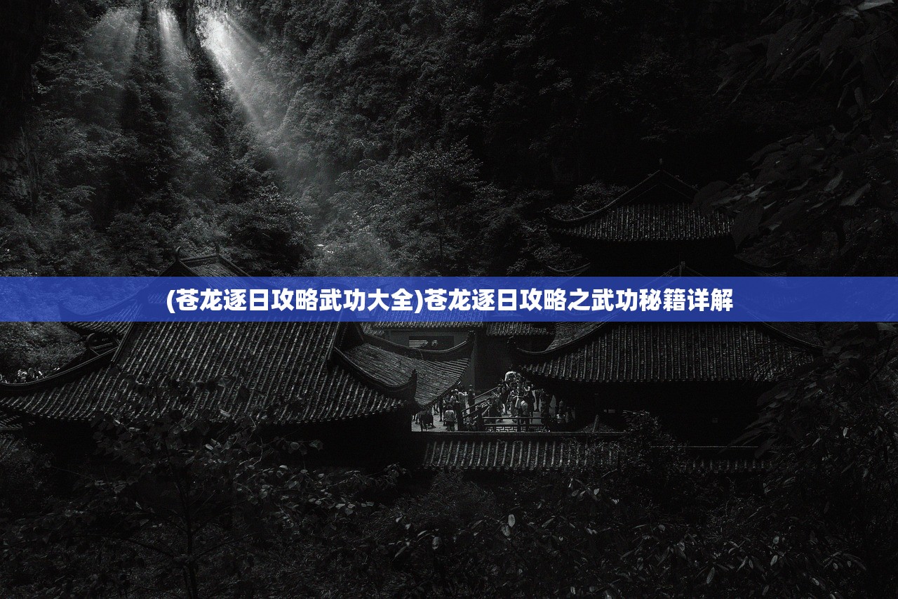 (双魂剑帝小说)双魂剑帝，传奇武魂与剑术的巅峰融合
