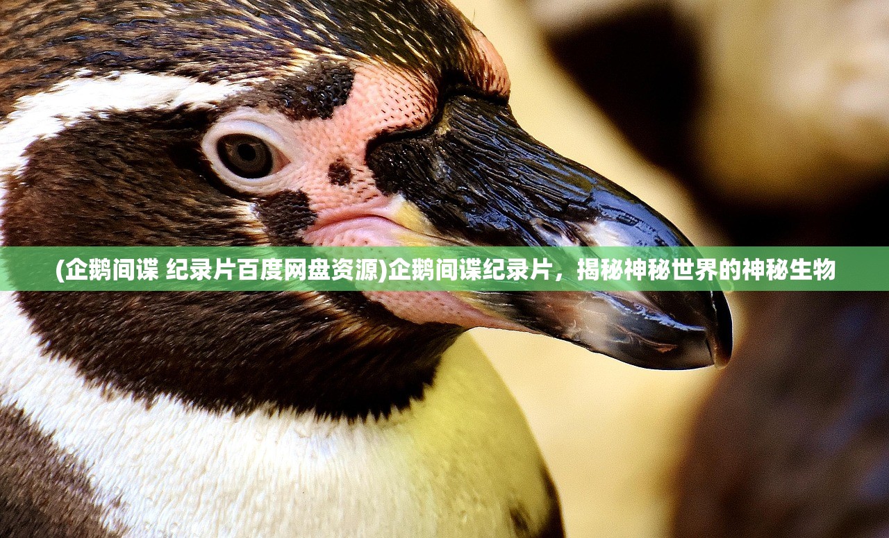 (暗黑之血2汉化补丁下载)暗黑之血2汉化，游戏汉化进程与深度体验