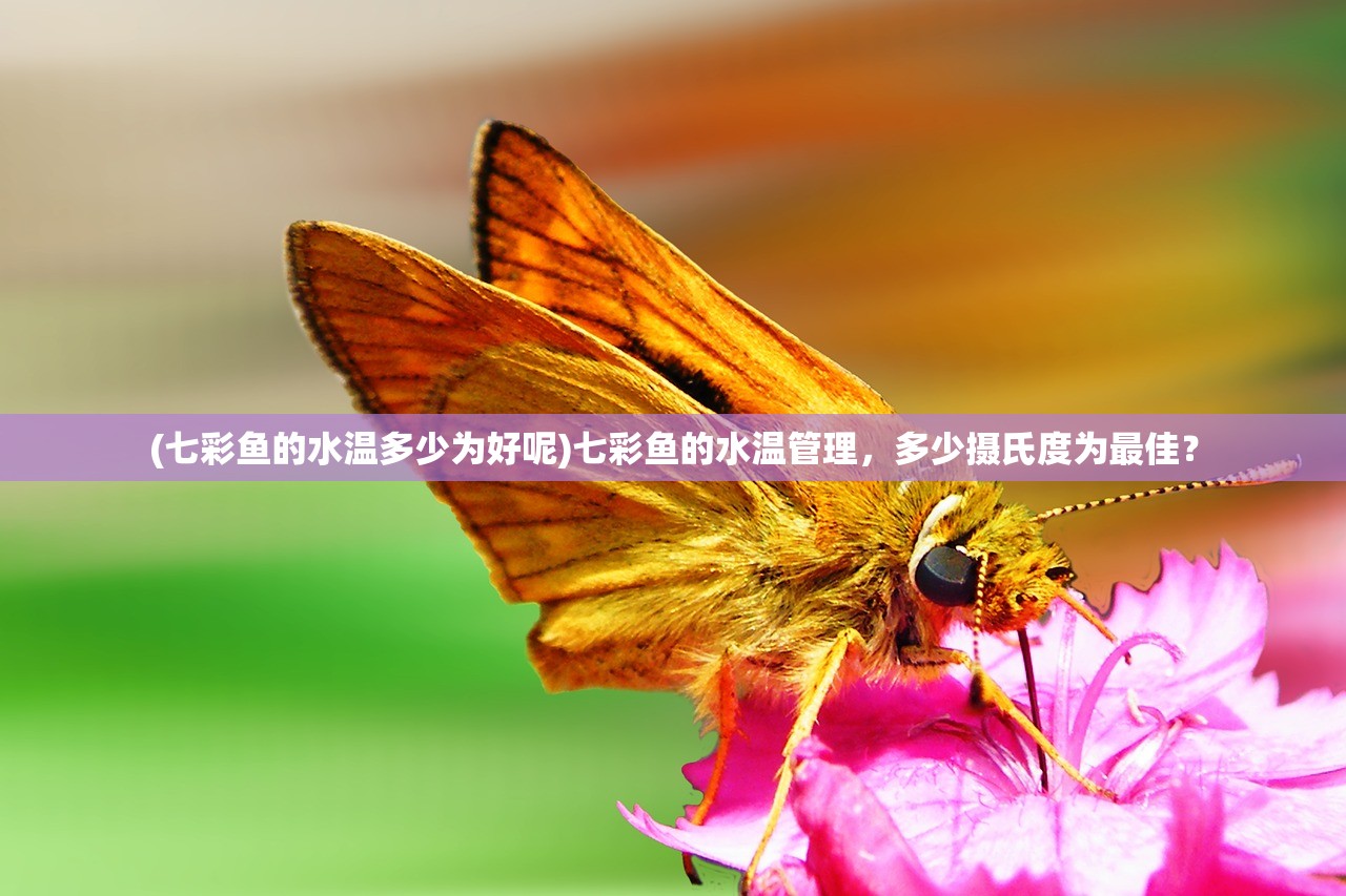 (小浣熊神兵列传全套卡)小浣熊神兵列传，如何提升角色至半圣境界
