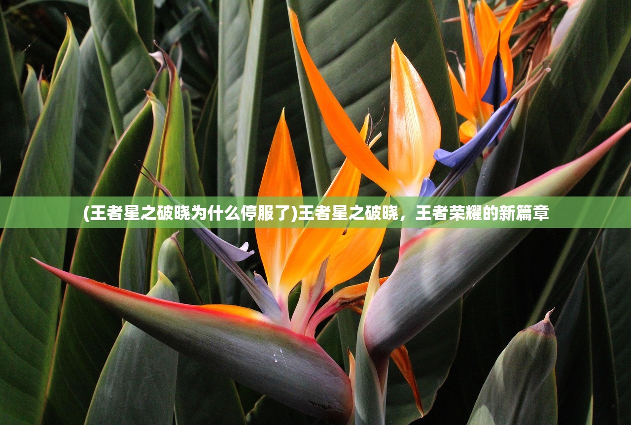 (荣耀出击)荣耀出征最强T0阵容，策略、英雄与战斗力的完美结合
