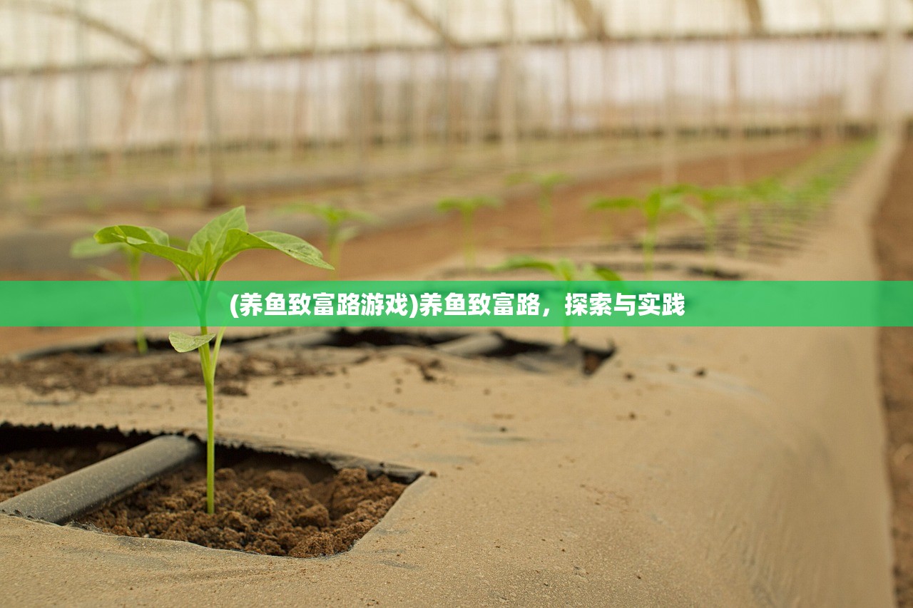 (微微一笑很倾城手游下载)微微一笑很倾城手游，倾城之美的数字世界