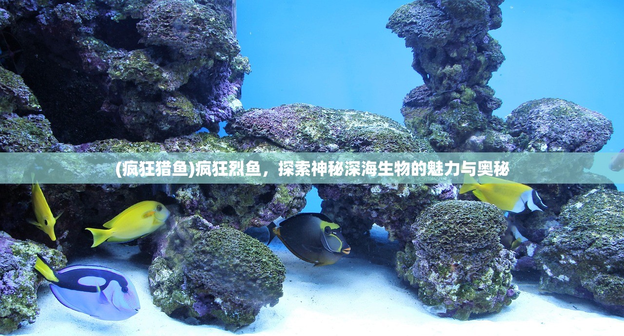 (勇者传说停服了吗最新消息)勇者传说停服了吗，游戏命运与未来发展解析