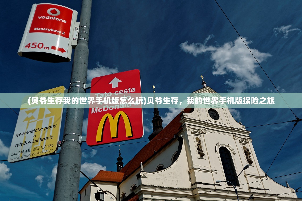 (魔镜物语阵容怎么搭配)魔镜物语阵容攻略，构建最佳战斗配置
