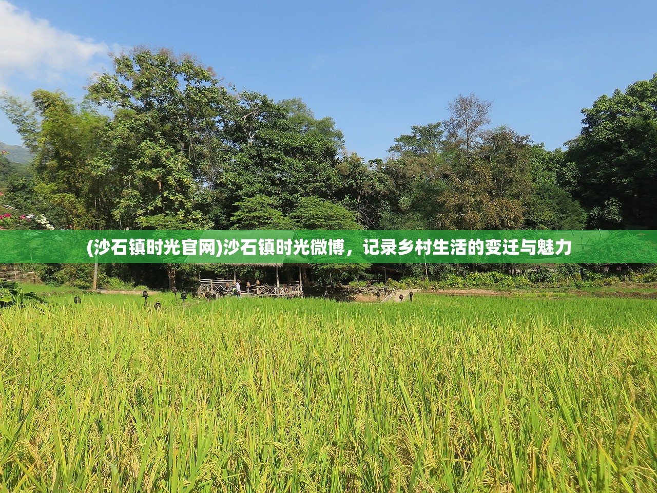 (史诗奥德赛讲述了谁的十年历险)史诗奥德赛，一场穿越时空的英雄之旅