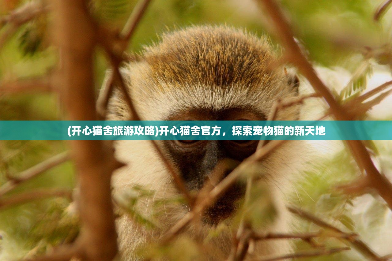 (明日守护者中文配音版视频)明日守护者中文配音版，深度解析与常见问题解答