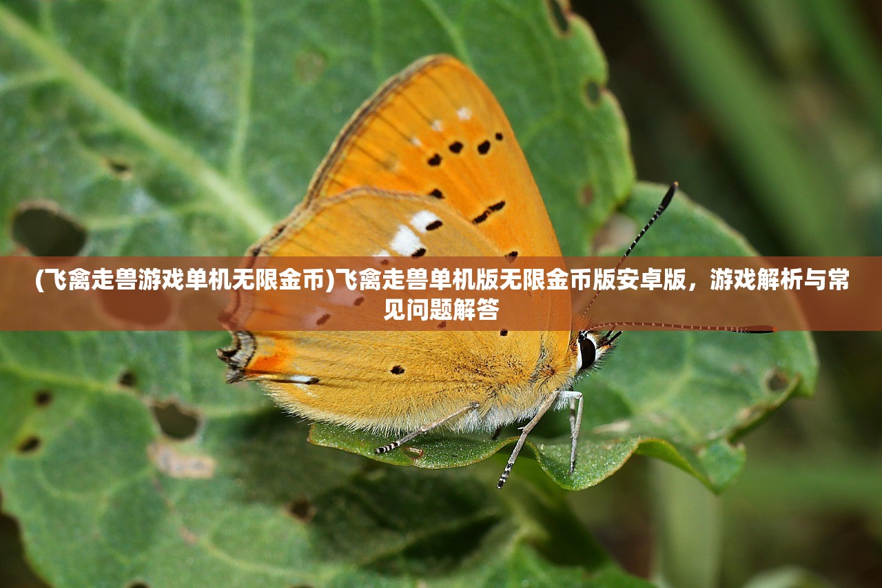 (冠军足球2破解版无限金币)冠军足球内置作弊菜单与Debug功能解析