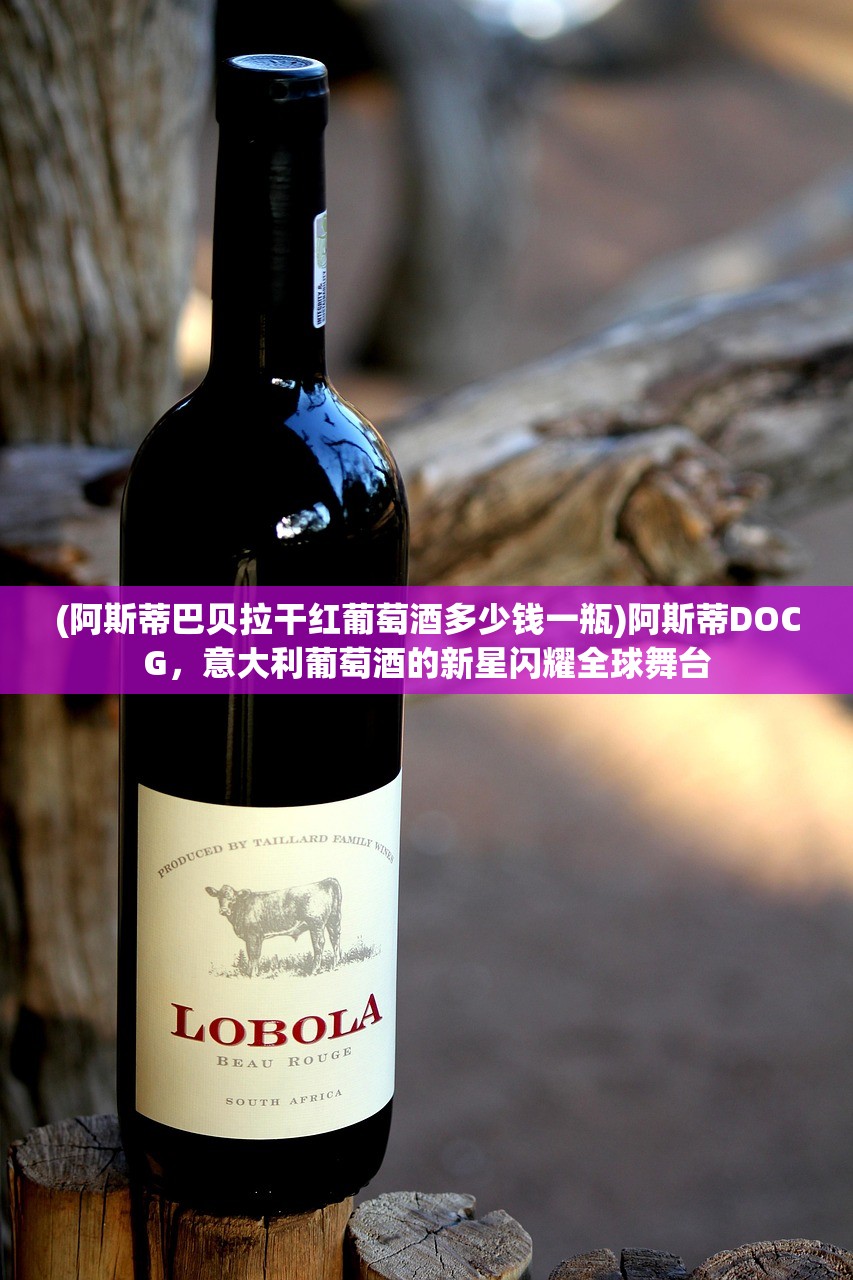(天剑群侠续之天涯相随 执笔命运)天剑群侠续之天涯相随，江湖新篇章的探寻与解析