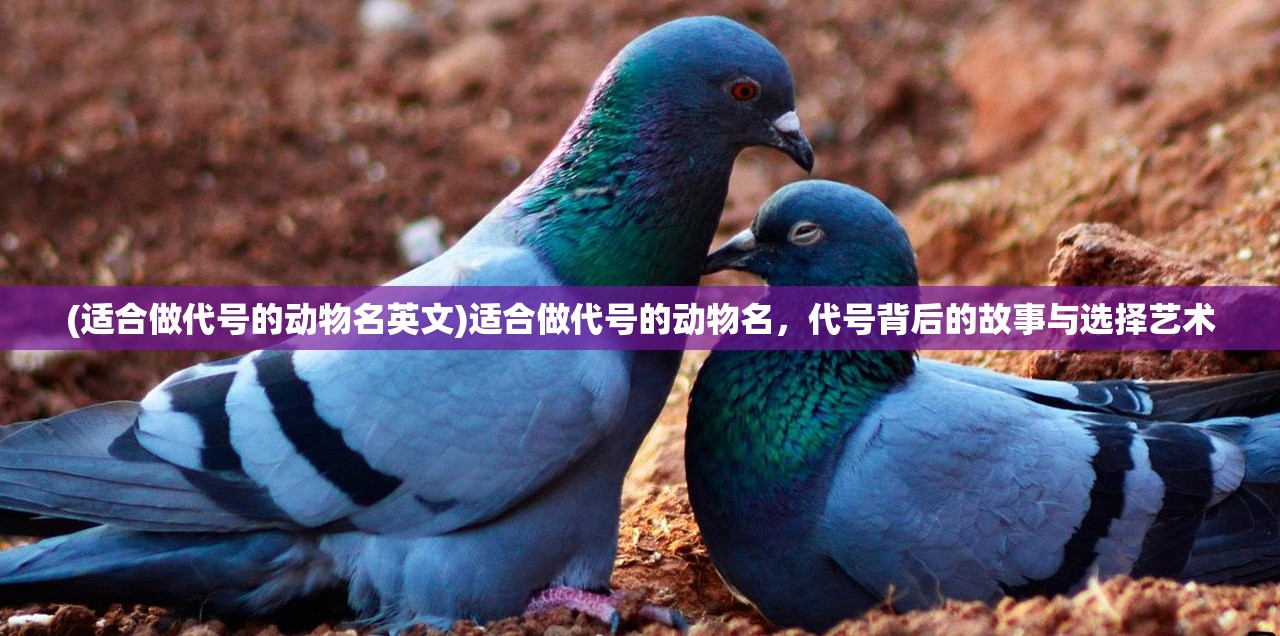 (适合做代号的动物名英文)适合做代号的动物名，代号背后的故事与选择艺术