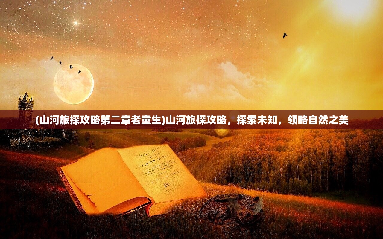 (英雄年代游戏)英雄年代单机，重温经典游戏的魅力与策略