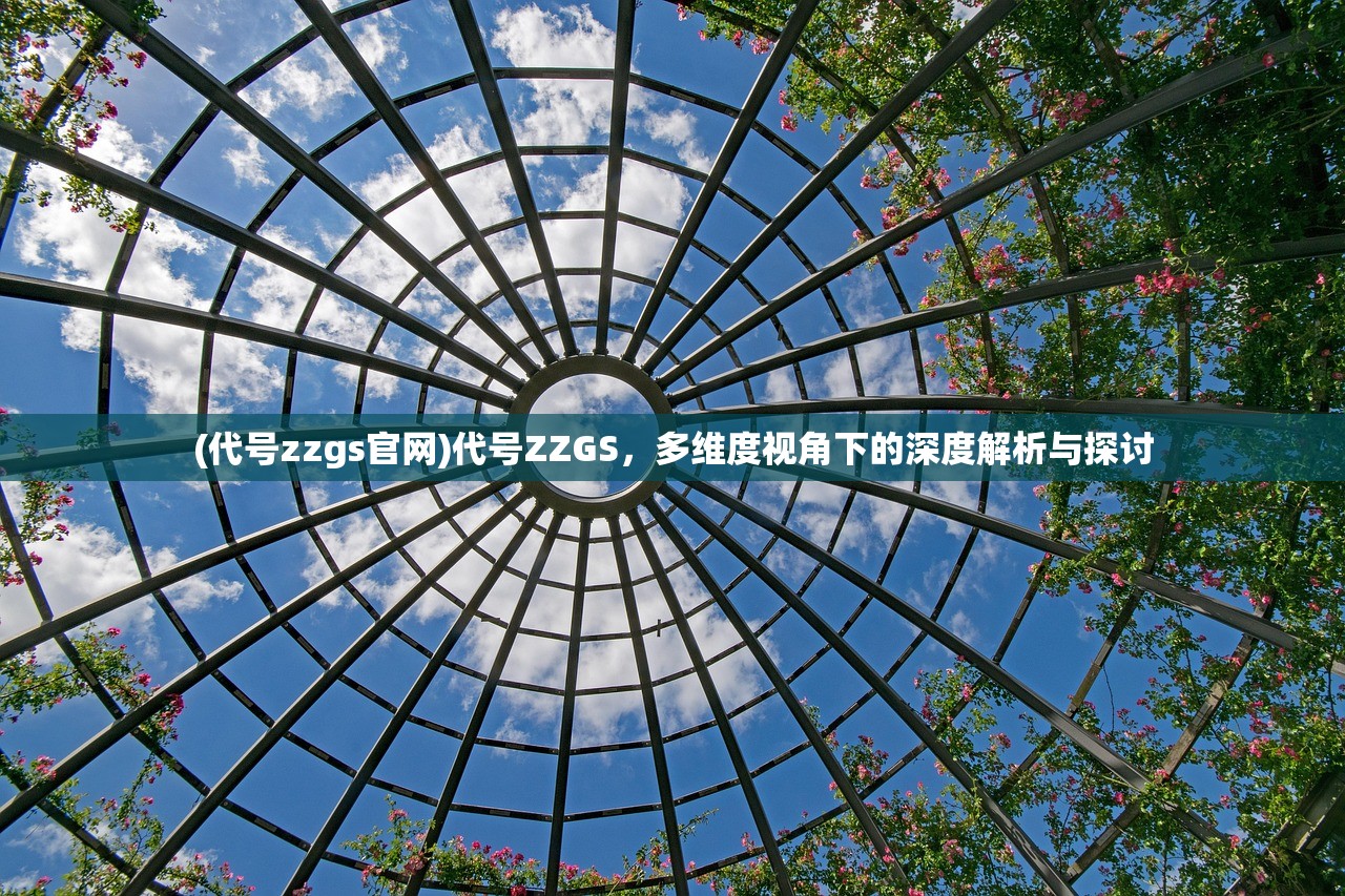 (代号zzgs官网)代号ZZGS，多维度视角下的深度解析与探讨