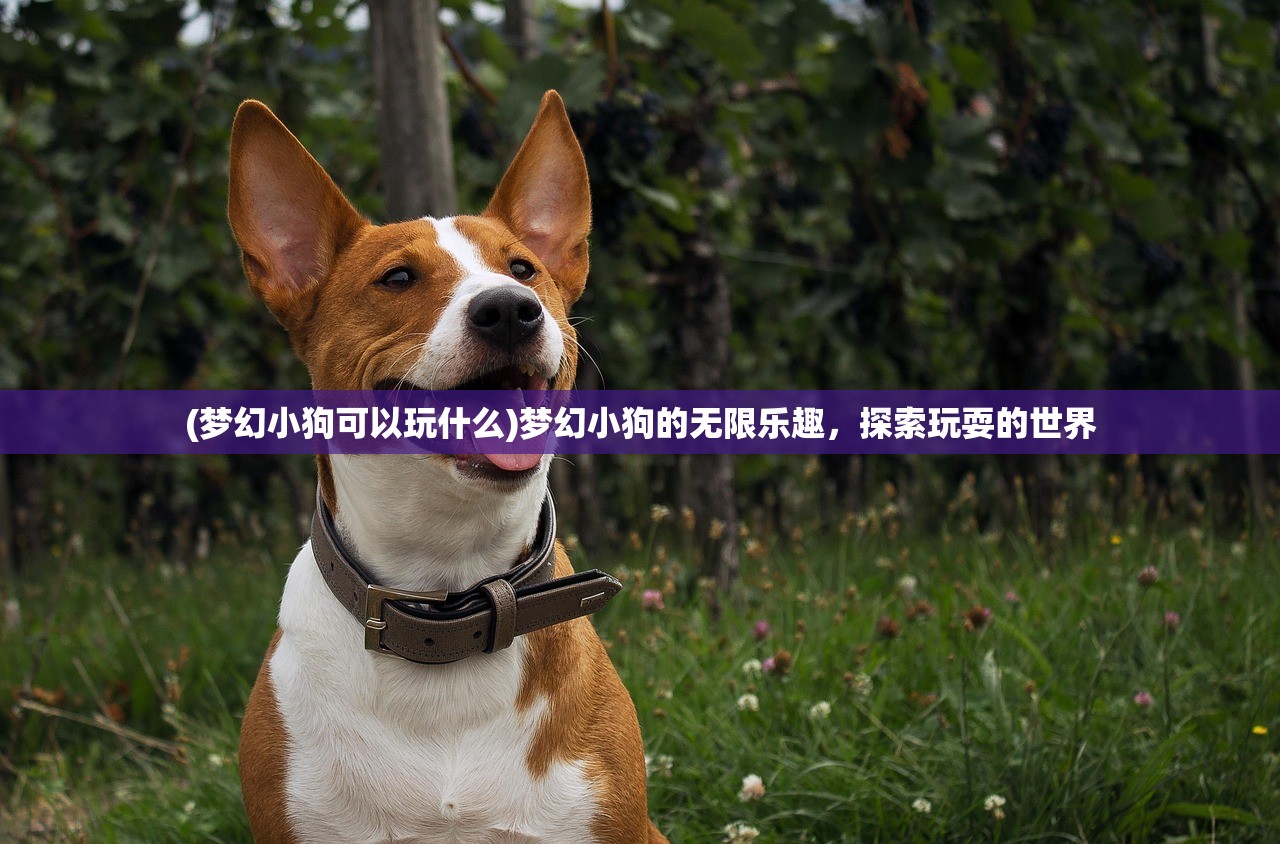 (风之旅团官方)风之旅团新版名称揭秘，探索未知之旅的全新篇章