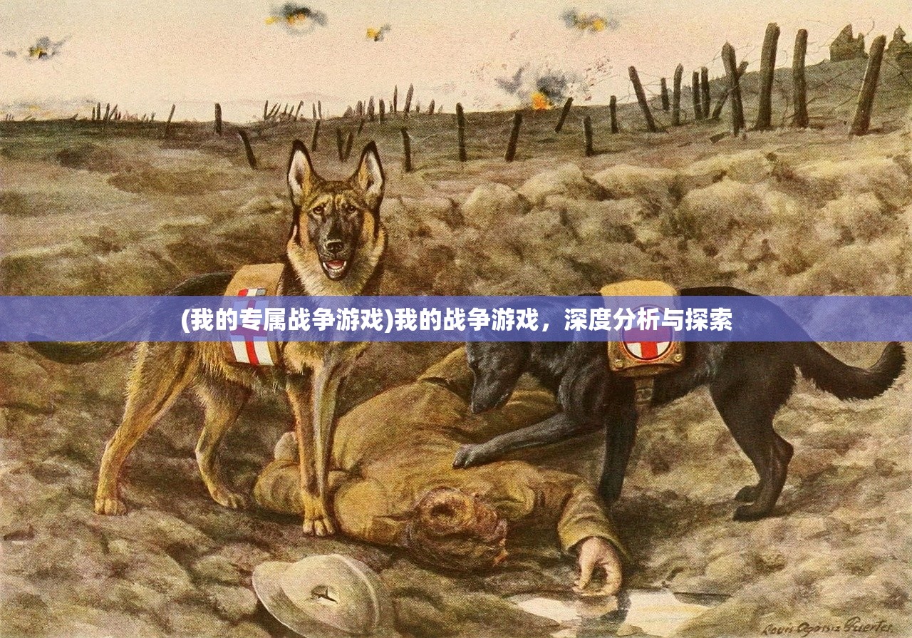 (刀剑神域动漫第一季在线观看)刀剑神域动漫，深度解析与常见问题解答