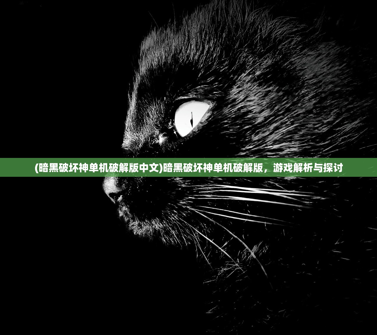 (暗黑破坏神单机破解版中文)暗黑破坏神单机破解版，游戏解析与探讨