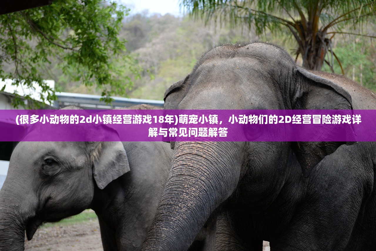 (塔尔战纪最佳阵容推荐)塔尔战纪，探索最佳阵容策略