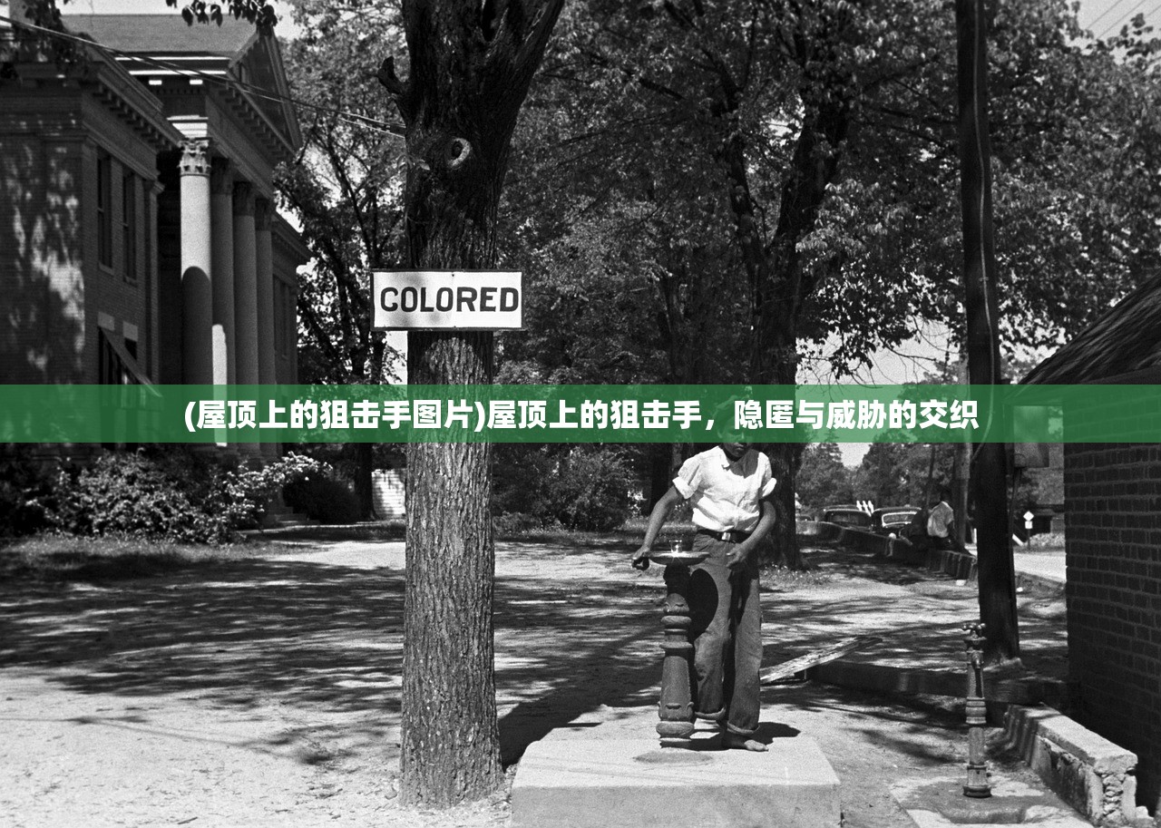 (屋顶上的狙击手图片)屋顶上的狙击手，隐匿与威胁的交织