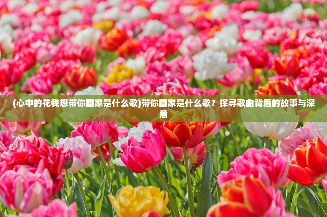 (女巫眼霜好吗?)女巫眼霜好用吗？深度解析与常见问答