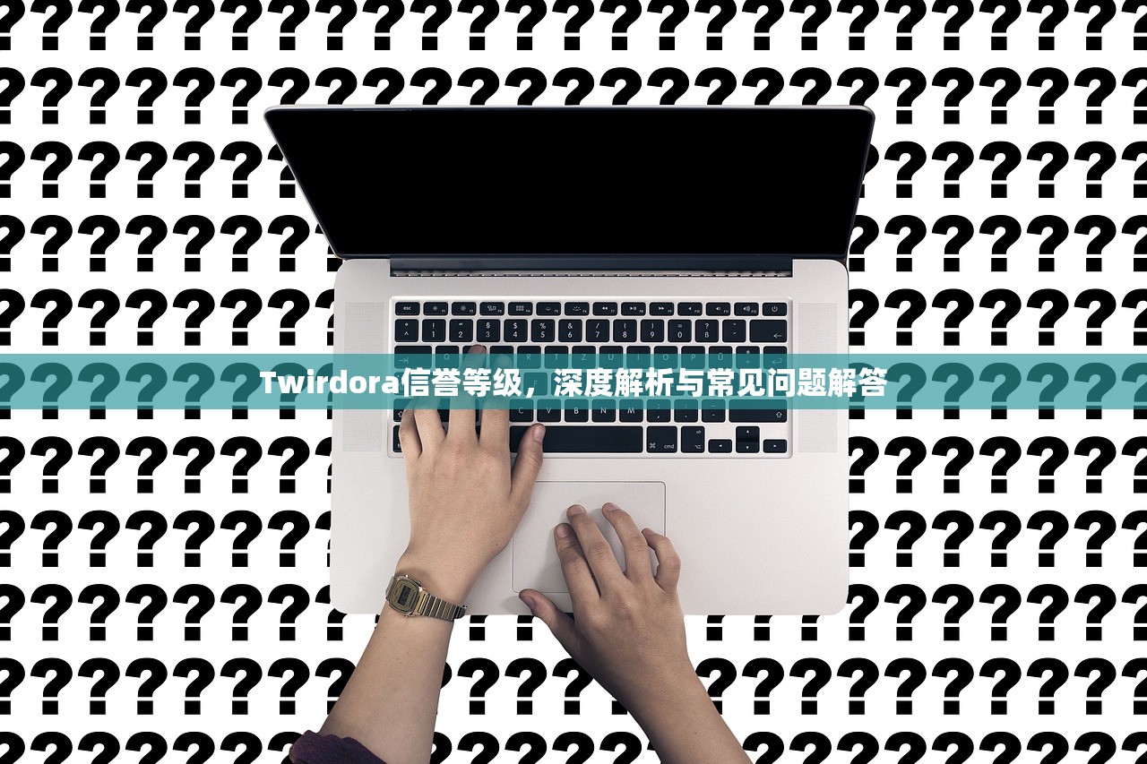Twirdora信誉等级，深度解析与常见问题解答