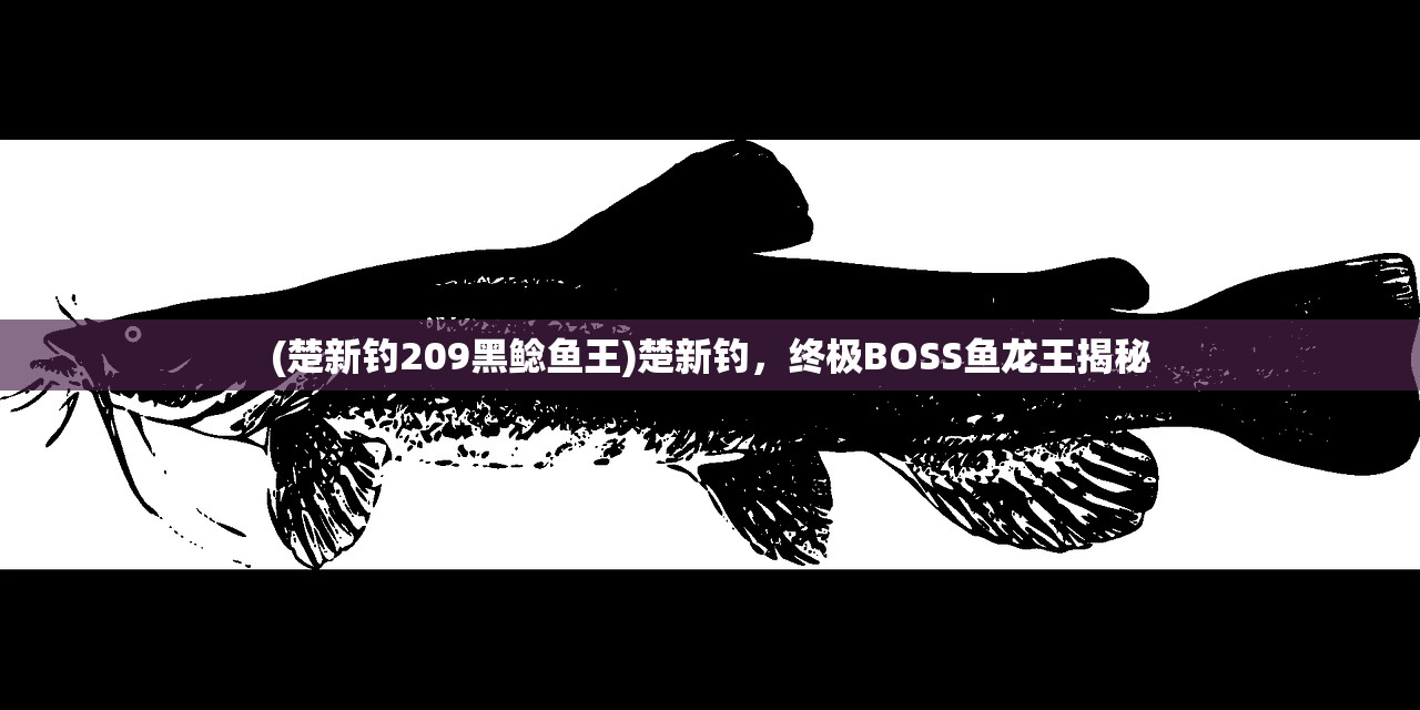 (楚新钓209黑鲶鱼王)楚新钓，终极BOSS鱼龙王揭秘