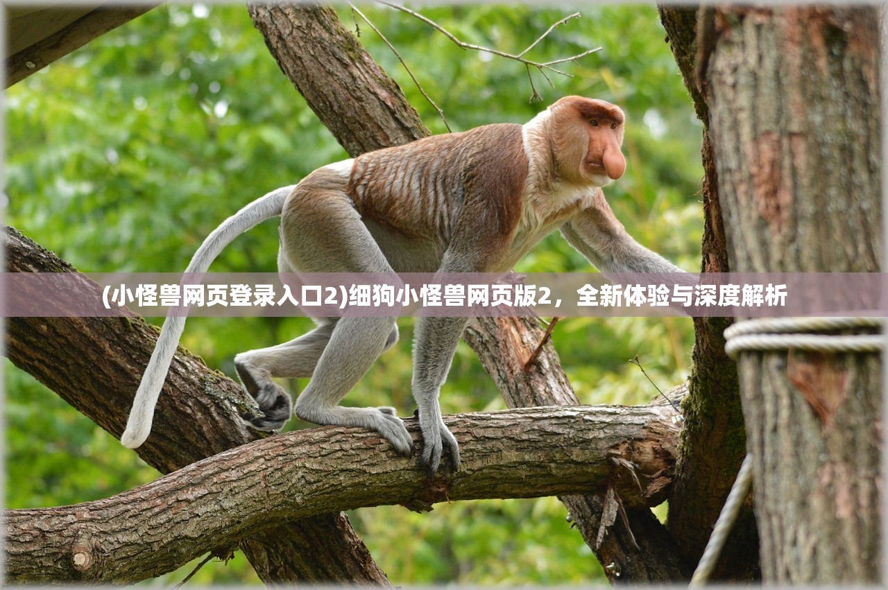 (小怪兽网页登录入口2)细狗小怪兽网页版2，全新体验与深度解析