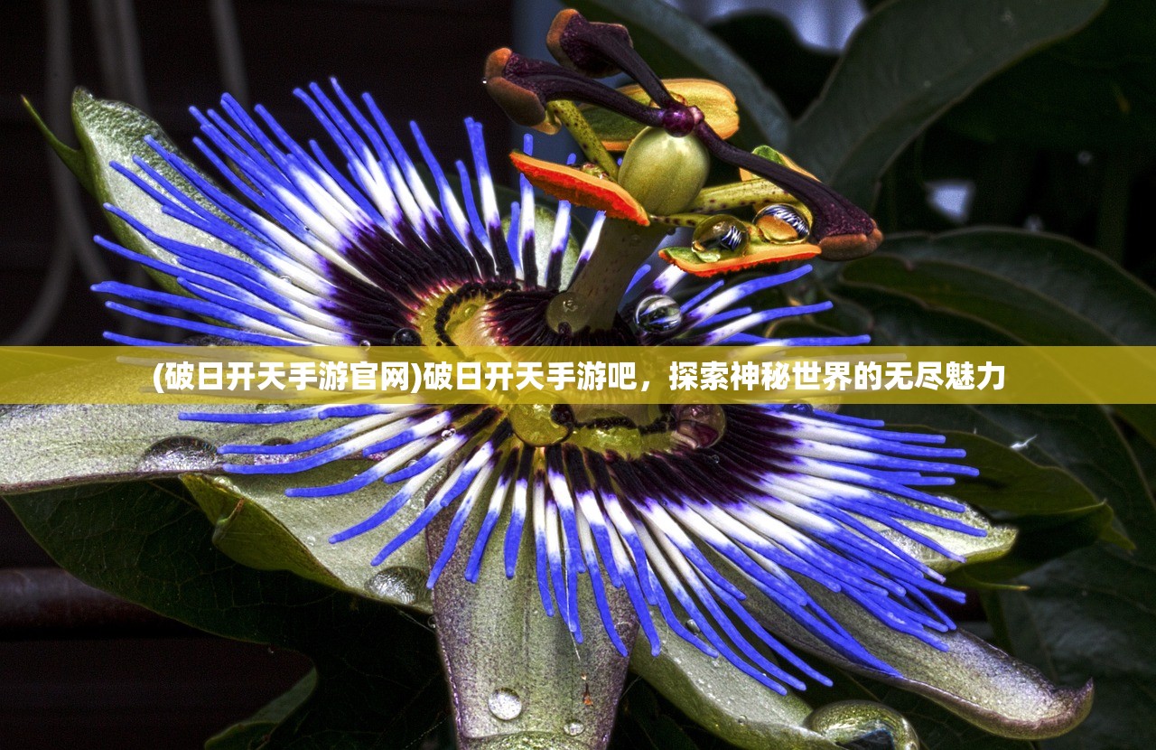 (破日开天手游官网)破日开天手游吧，探索神秘世界的无尽魅力