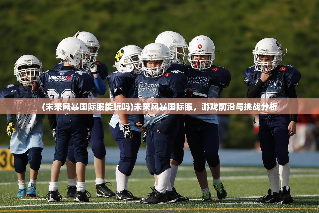 (未来风暴国际服能玩吗)未来风暴国际服，游戏前沿与挑战分析