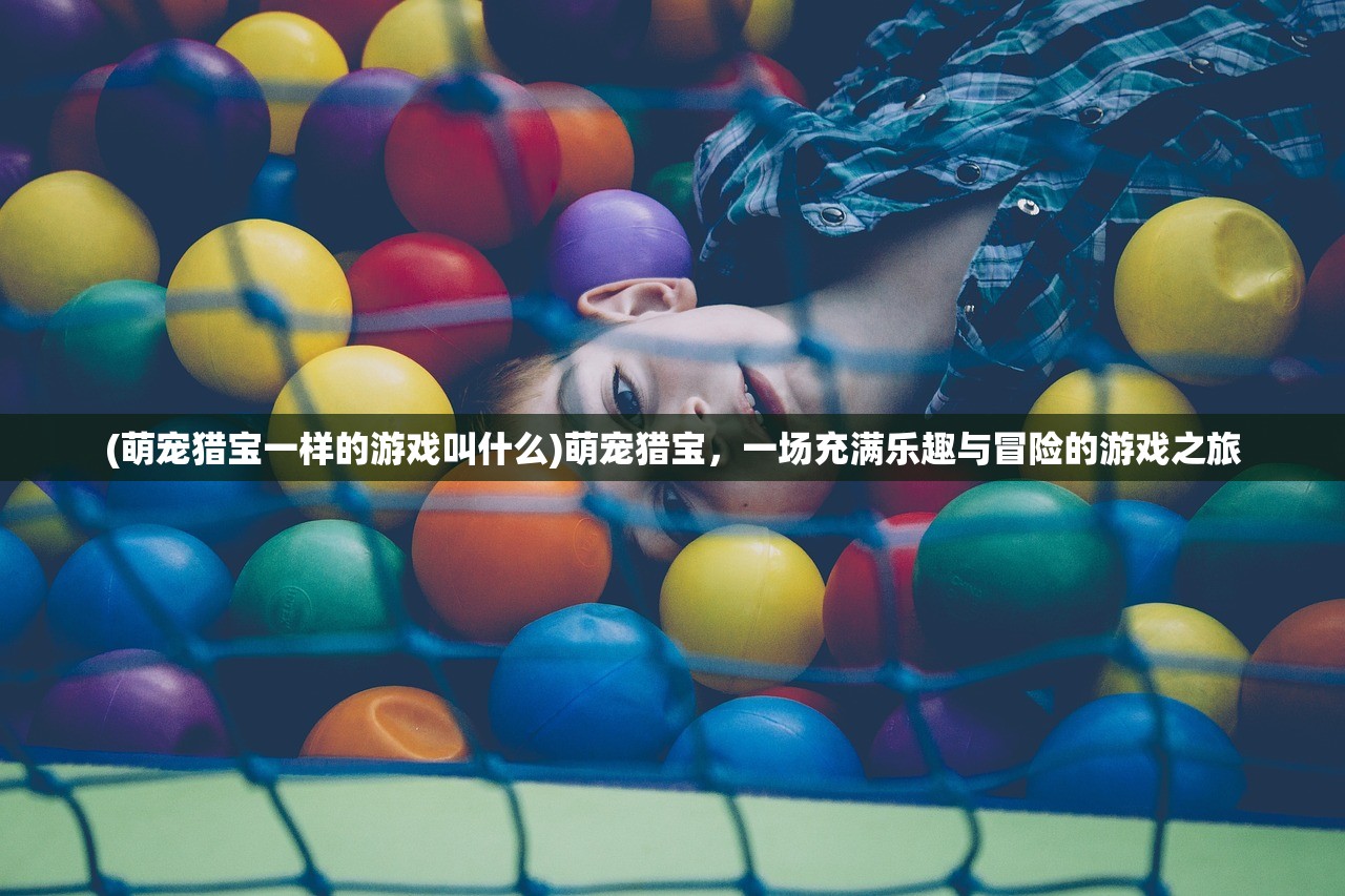 (萌宠猎宝一样的游戏叫什么)萌宠猎宝，一场充满乐趣与冒险的游戏之旅