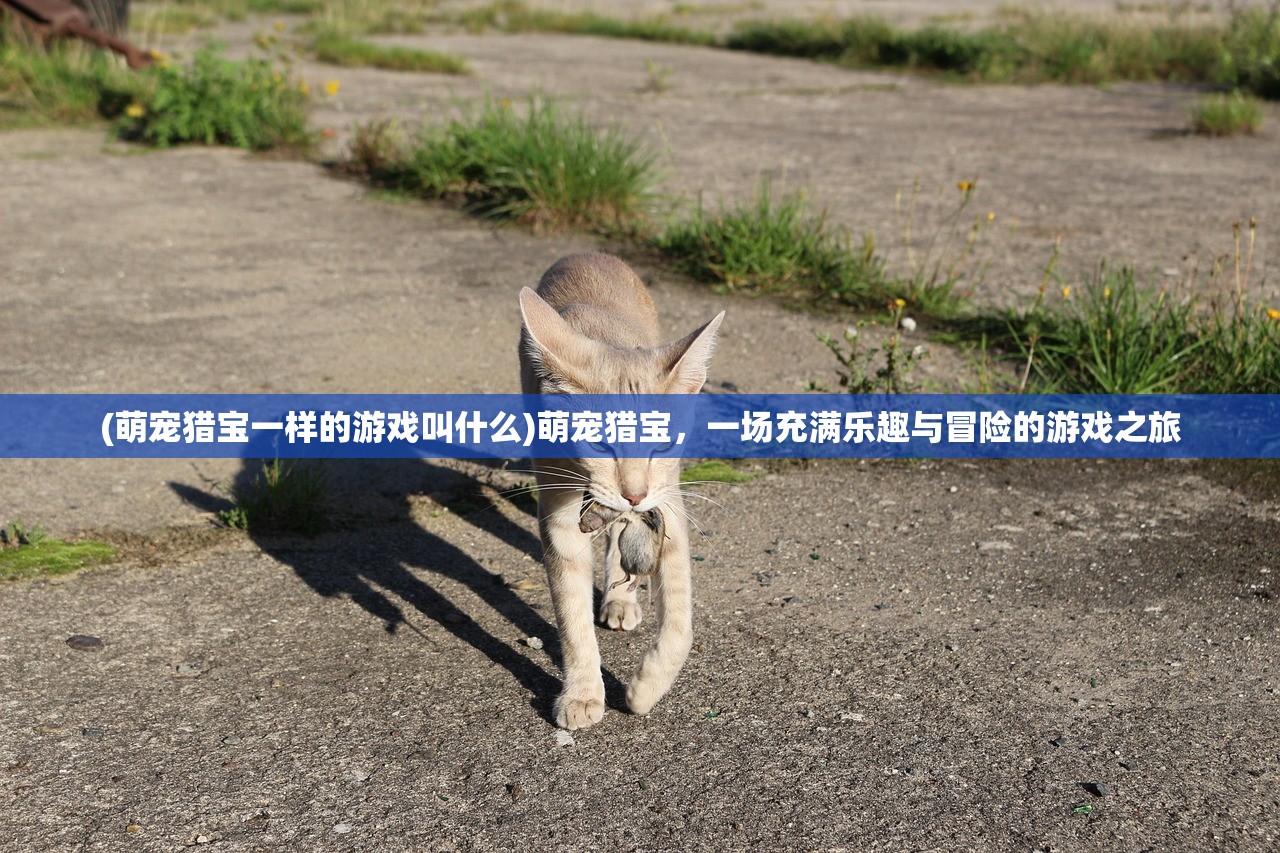 (全民水浒无限银票版是真是假)全民水浒无限银票版，深度解析与玩家指南