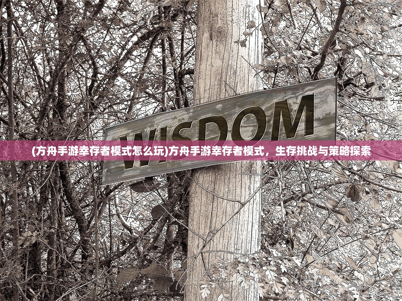 (方舟手游幸存者模式怎么玩)方舟手游幸存者模式，生存挑战与策略探索