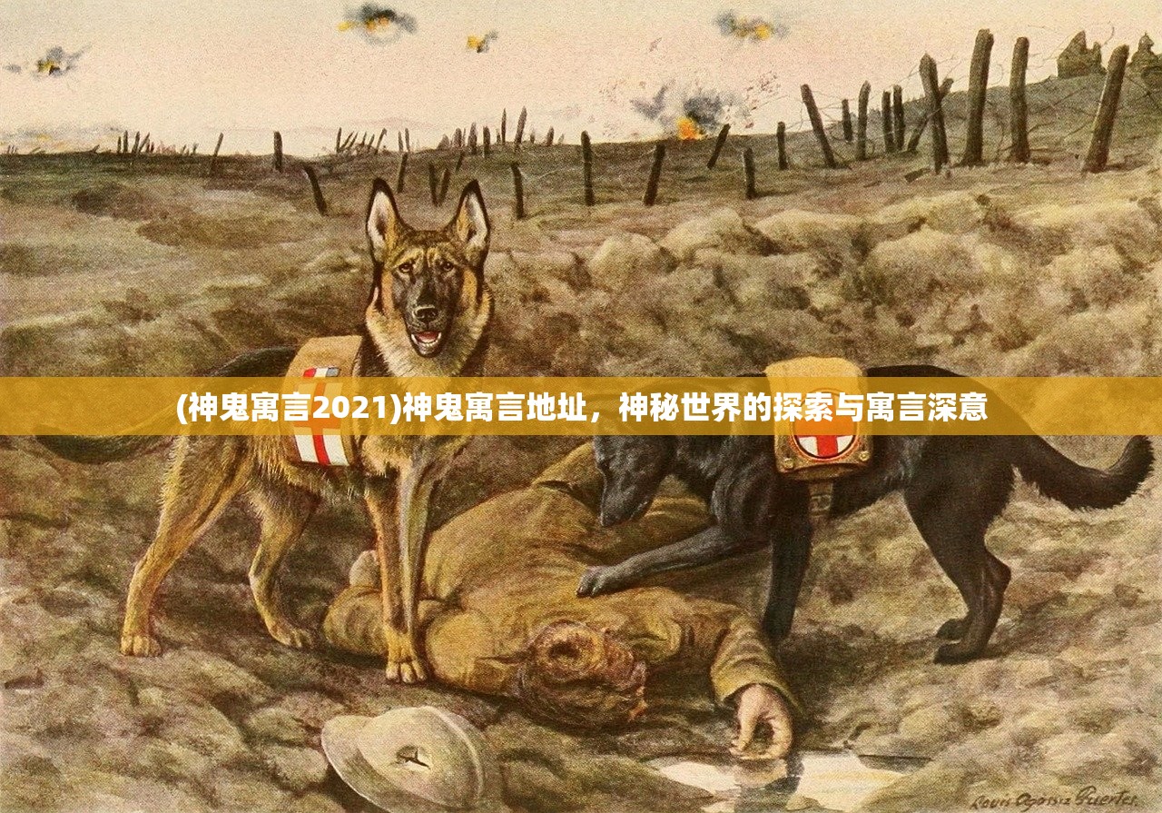 (神鬼寓言2021)神鬼寓言地址，神秘世界的探索与寓言深意