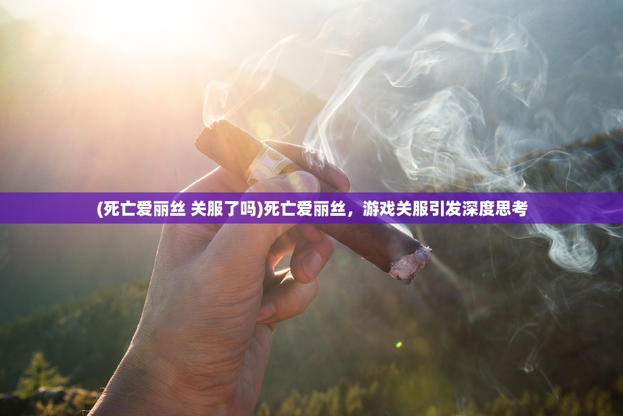 (援军已至)援军明日抵达，期待与行动交织的序曲
