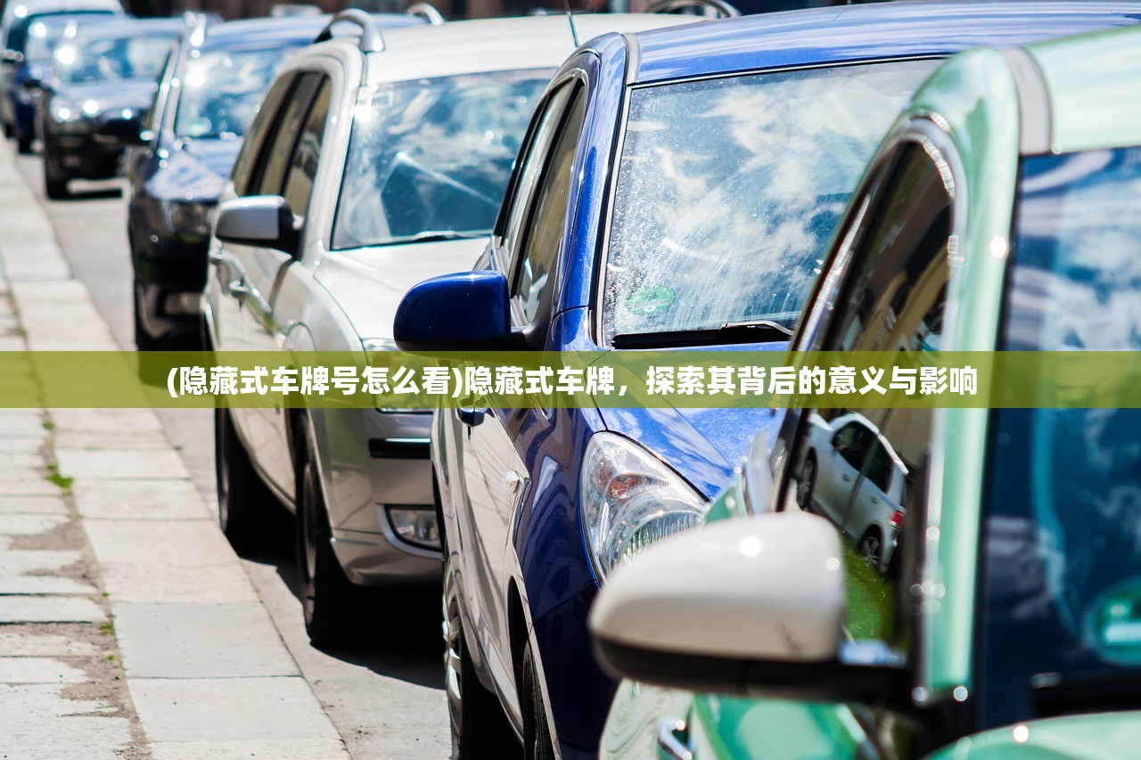 (隐藏式车牌号怎么看)隐藏式车牌，探索其背后的意义与影响