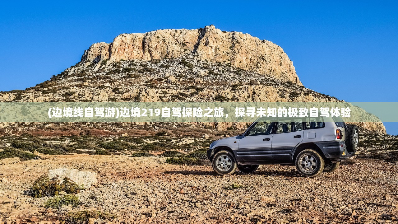 (代号传奇全文免费阅读)代号传奇，免费阅读引领新潮流