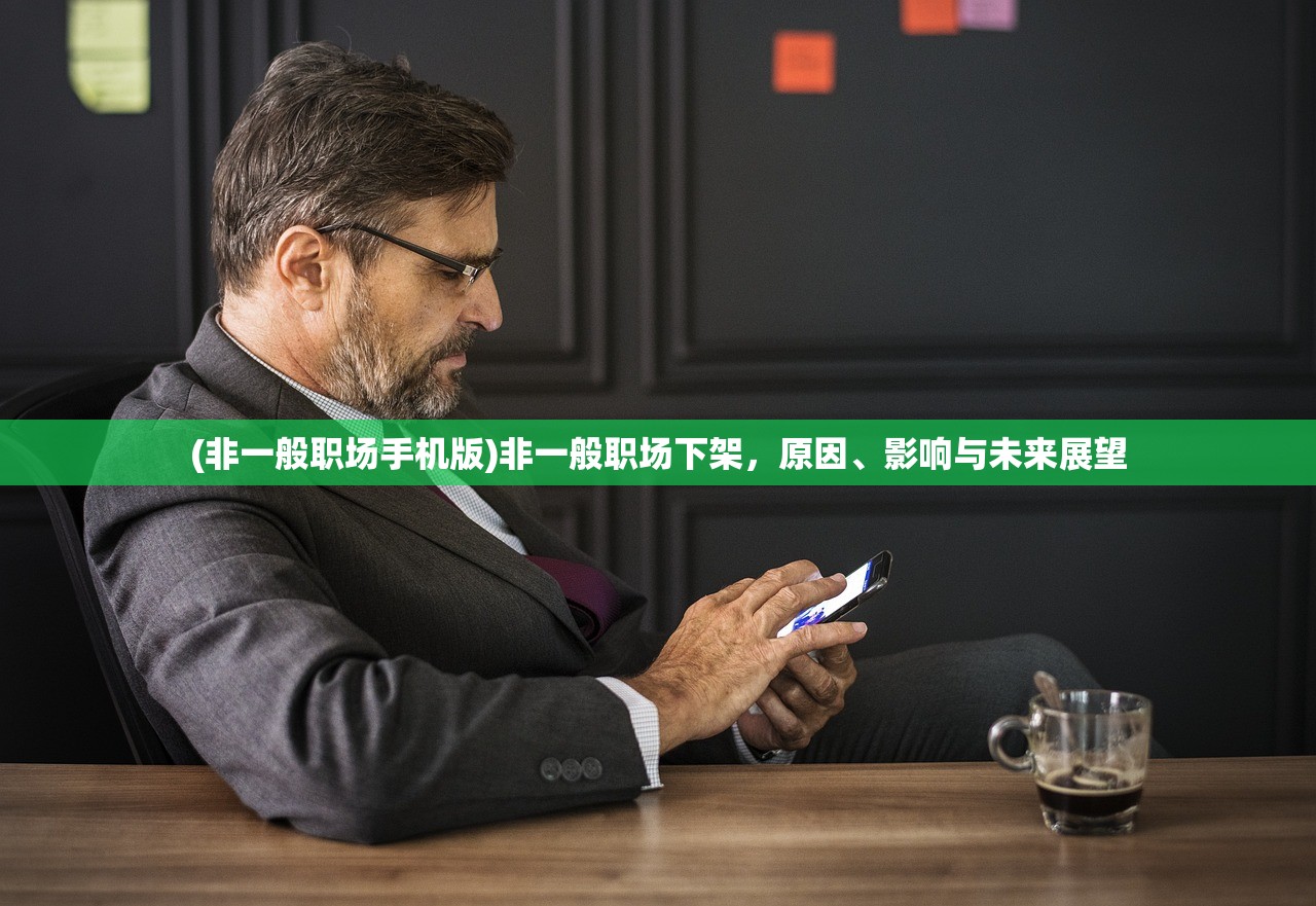 (非一般职场手机版)非一般职场下架，原因、影响与未来展望