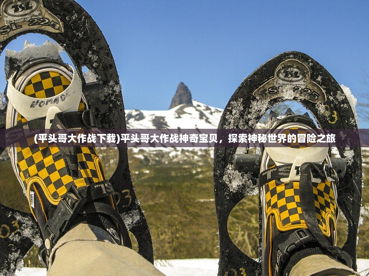 (平头哥大作战下载)平头哥大作战神奇宝贝，探索神秘世界的冒险之旅