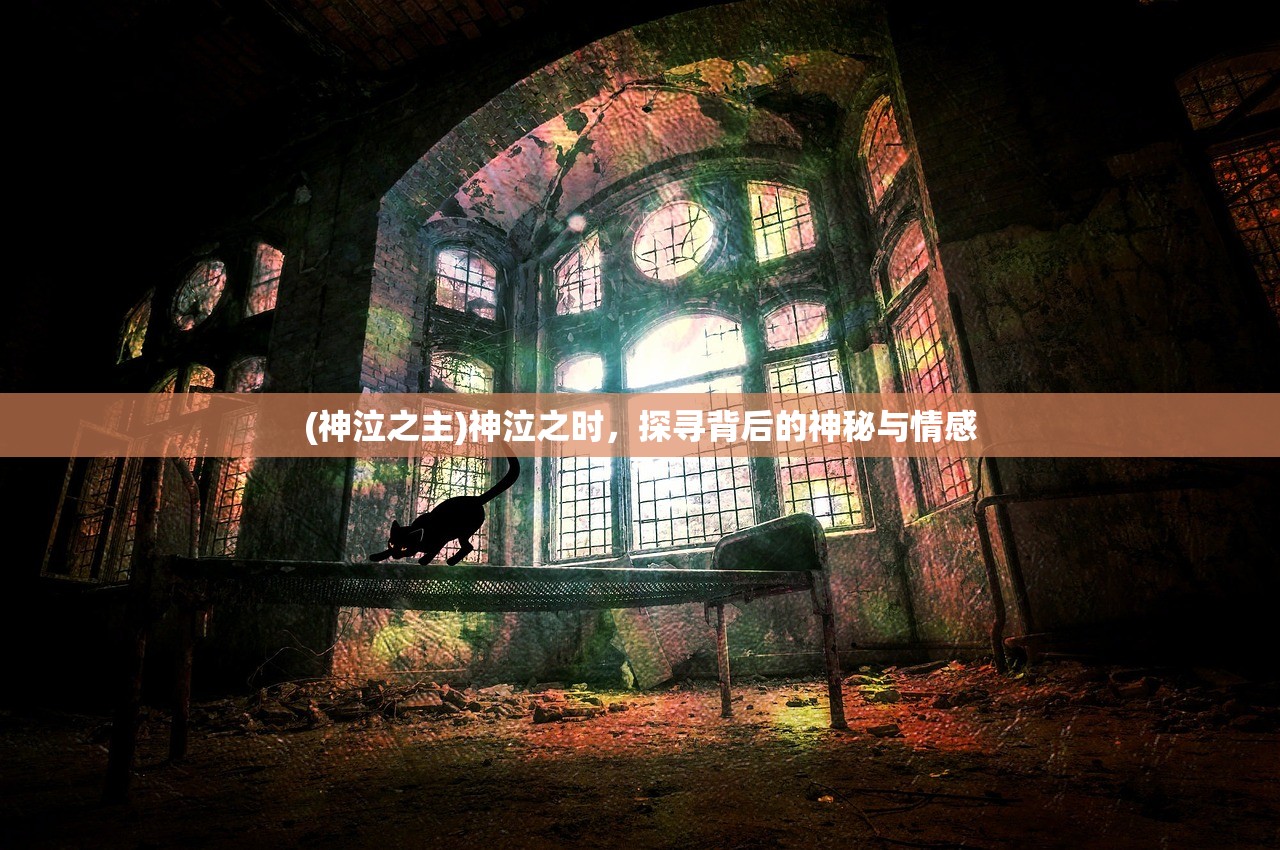 (放置百姬wiki)放置百姬攻略大全，从入门到精通的全面指南